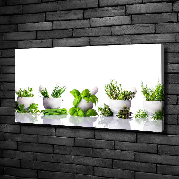 Canvas wall art Herbs