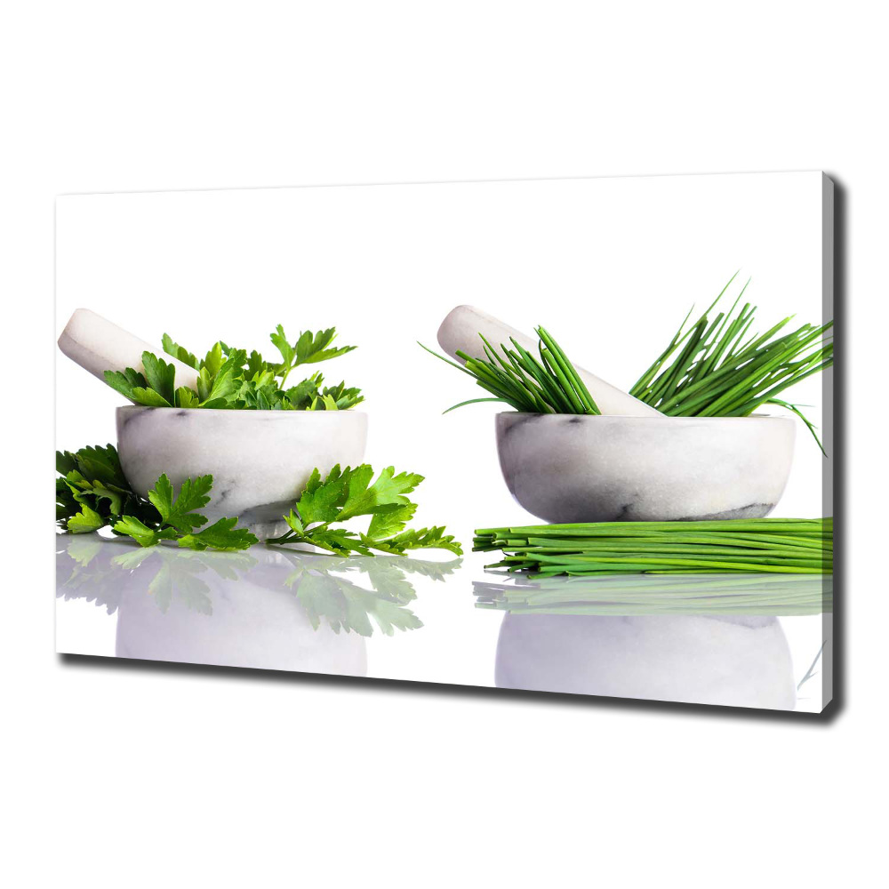 Canvas wall art Herbs