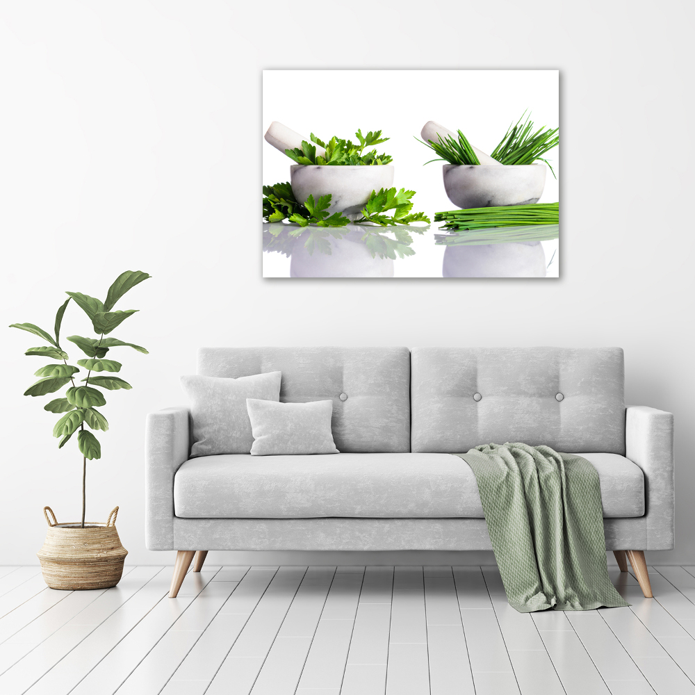 Canvas wall art Herbs