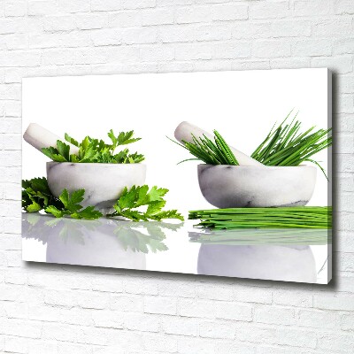 Canvas wall art Herbs