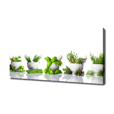 Canvas wall art Herbs