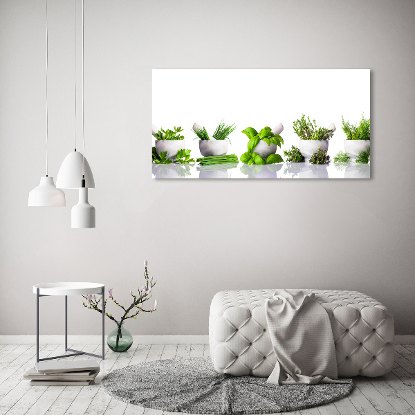 Canvas wall art Herbs