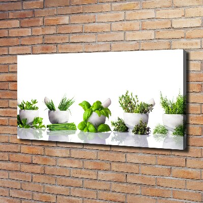 Canvas wall art Herbs