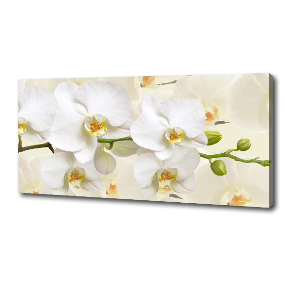 Canvas wall art Orchid