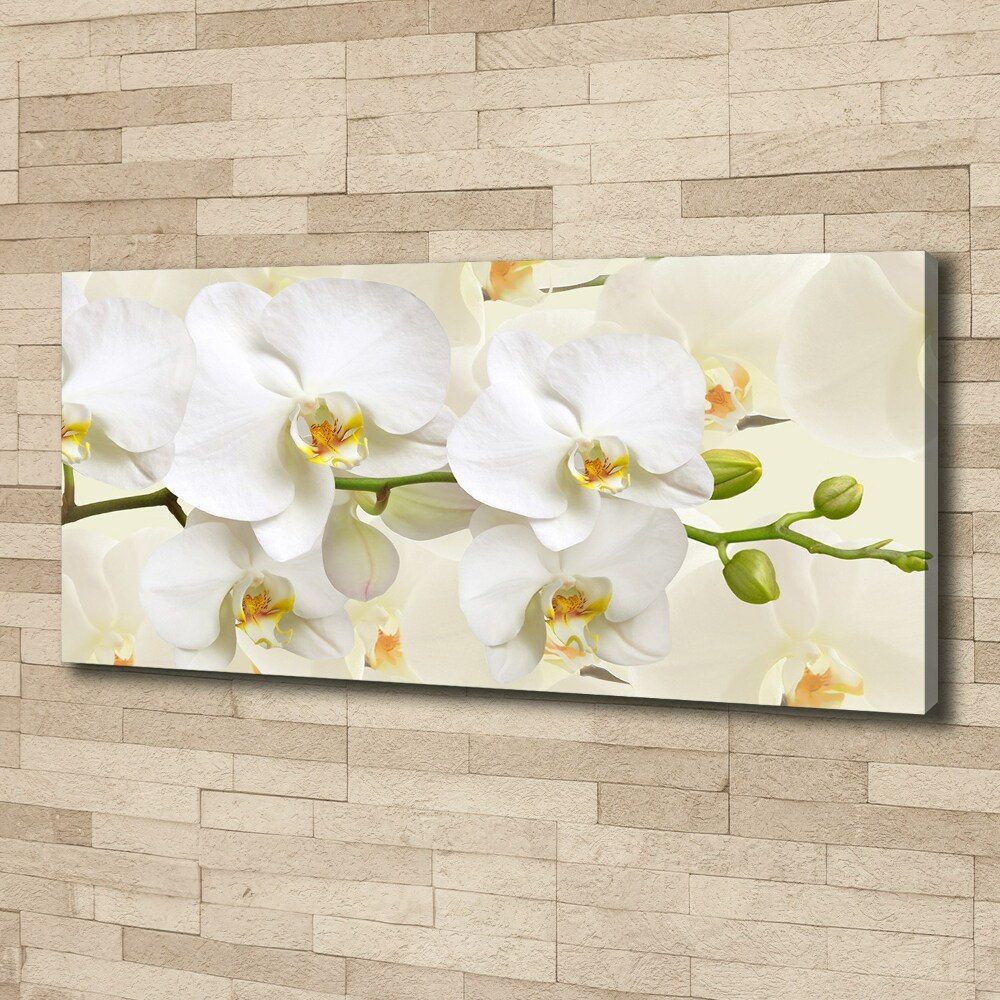 Canvas wall art Orchid