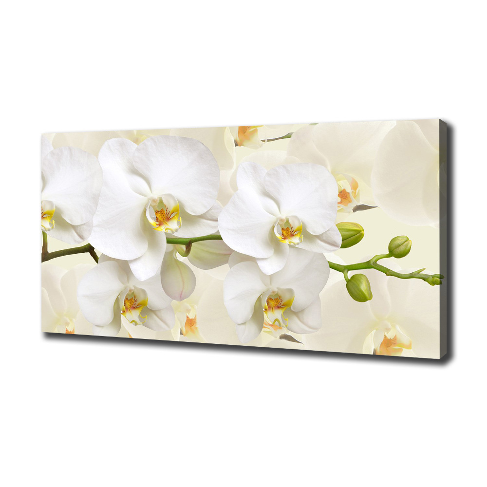 Canvas wall art Orchid