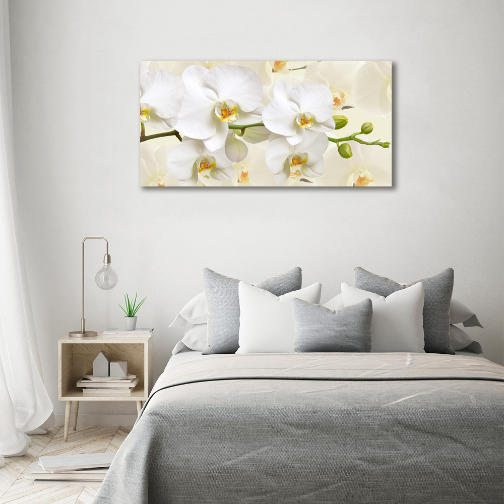 Canvas wall art Orchid