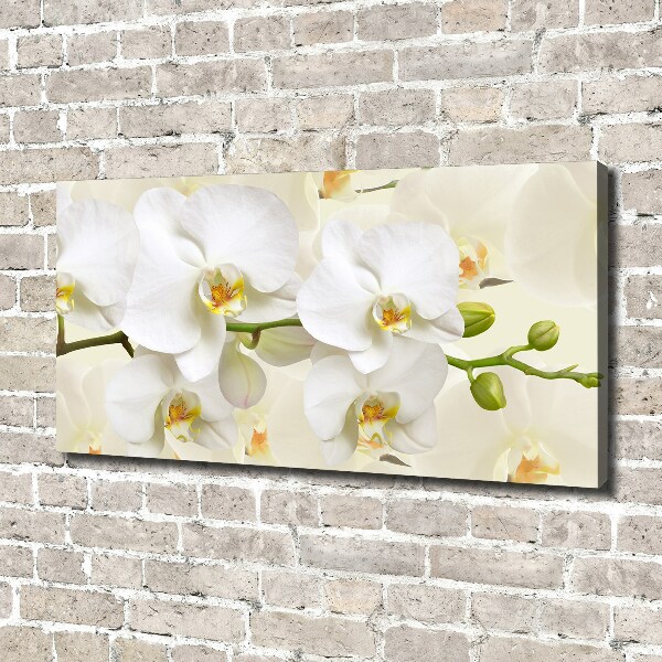 Canvas wall art Orchid