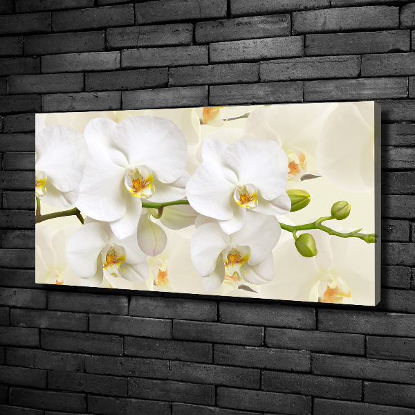 Canvas wall art Orchid