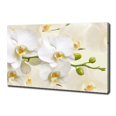 Canvas wall art Orchid