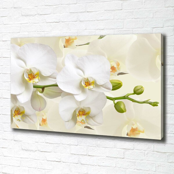 Canvas wall art Orchid