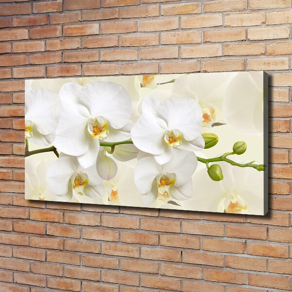 Canvas wall art Orchid