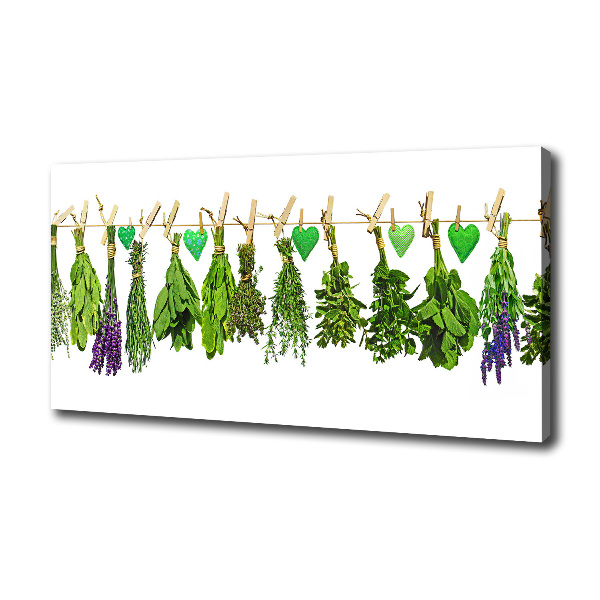 Canvas wall art Herbs on a string