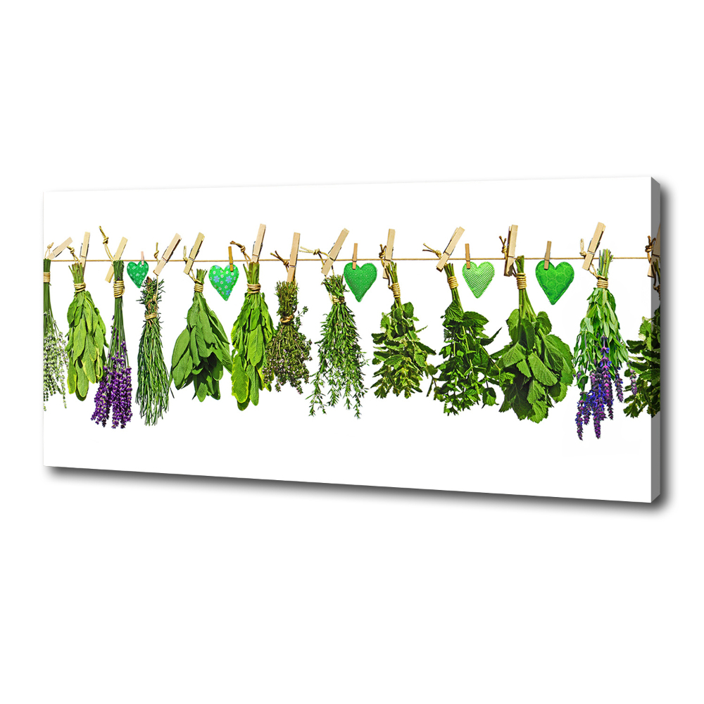 Canvas wall art Herbs on a string