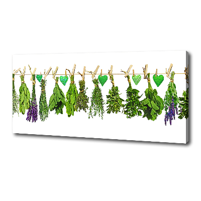 Canvas wall art Herbs on a string