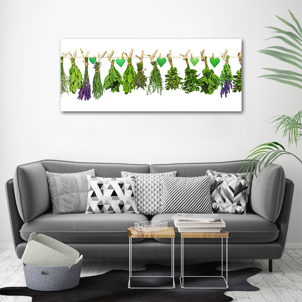 Canvas wall art Herbs on a string