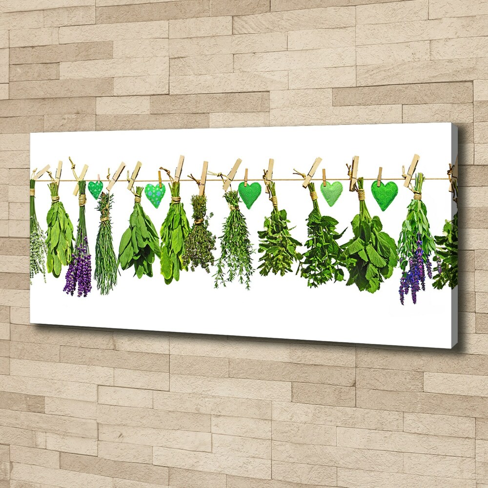 Canvas wall art Herbs on a string