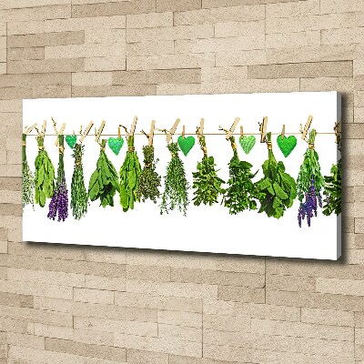 Canvas wall art Herbs on a string