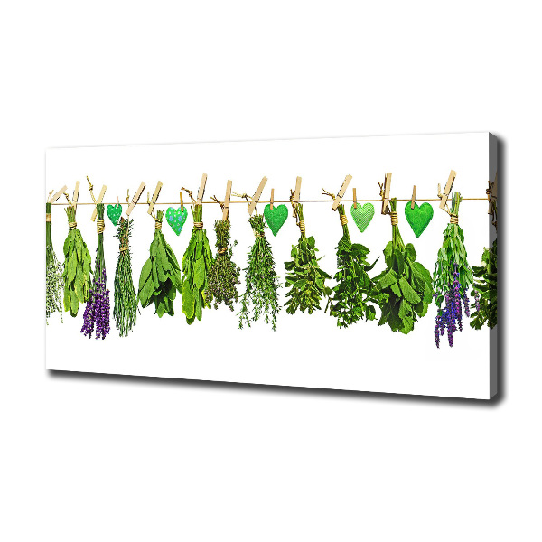 Canvas wall art Herbs on a string