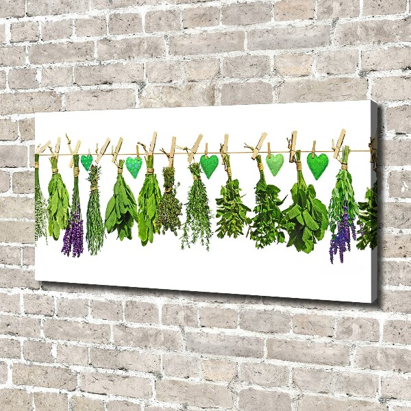 Canvas wall art Herbs on a string