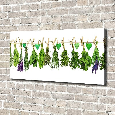 Canvas wall art Herbs on a string