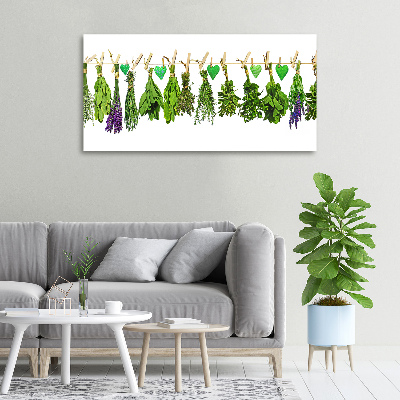 Canvas wall art Herbs on a string