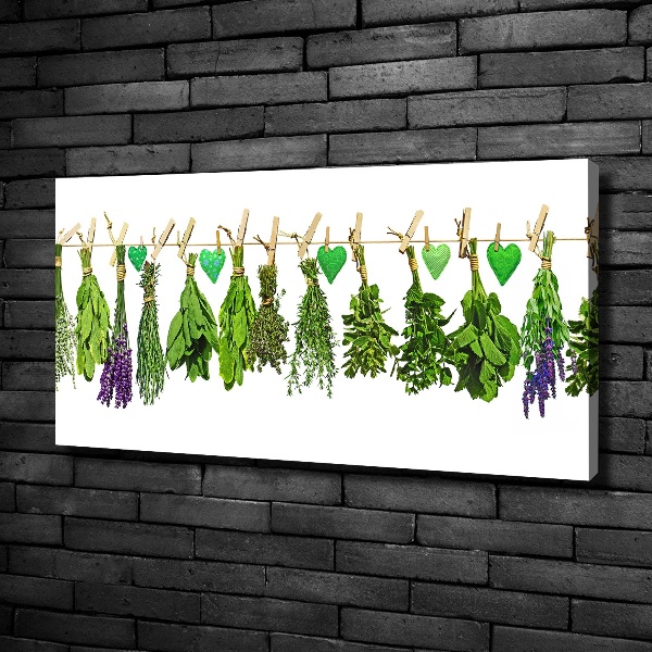 Canvas wall art Herbs on a string