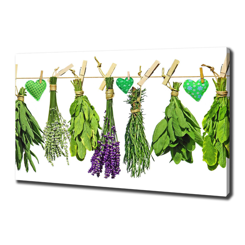 Canvas wall art Herbs on a string