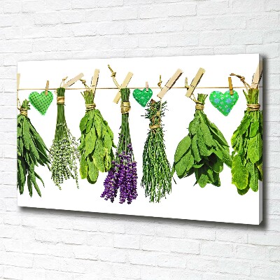 Canvas wall art Herbs on a string