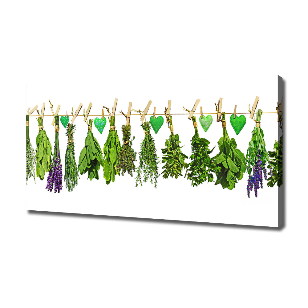 Canvas wall art Herbs on a string