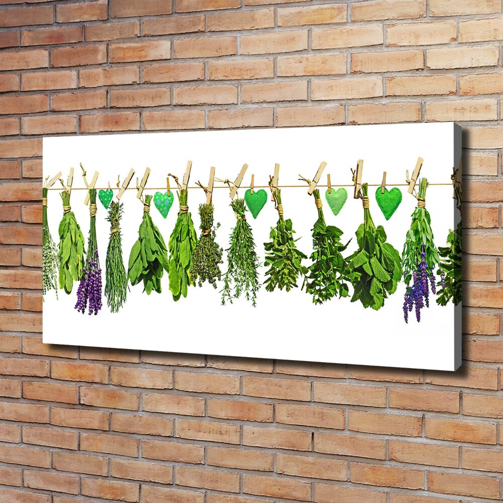 Canvas wall art Herbs on a string