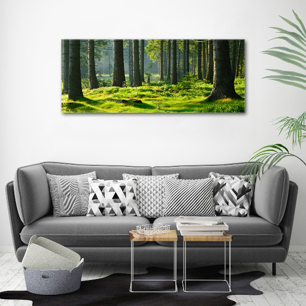 Canvas wall art Spruce forest