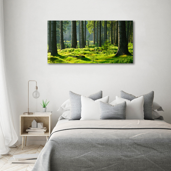 Canvas wall art Spruce forest