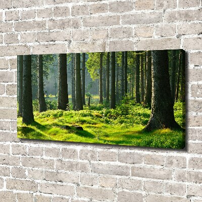 Canvas wall art Spruce forest