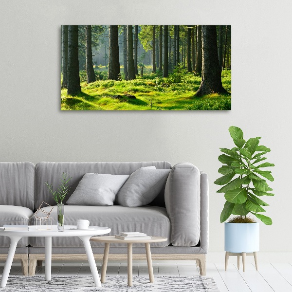 Canvas wall art Spruce forest