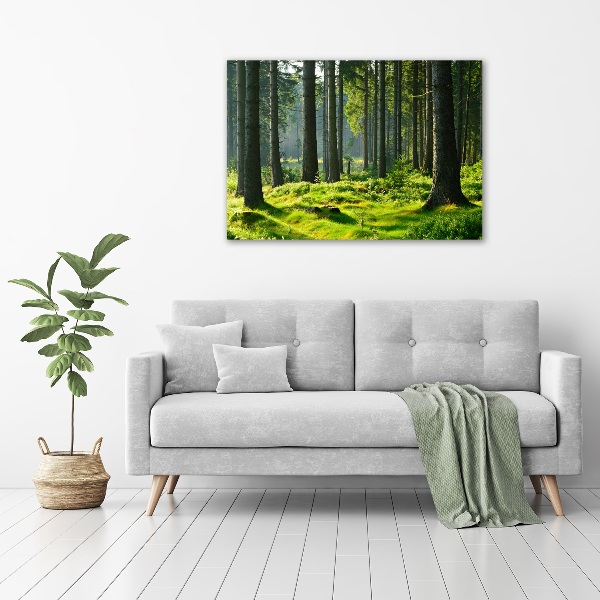 Canvas wall art Spruce forest