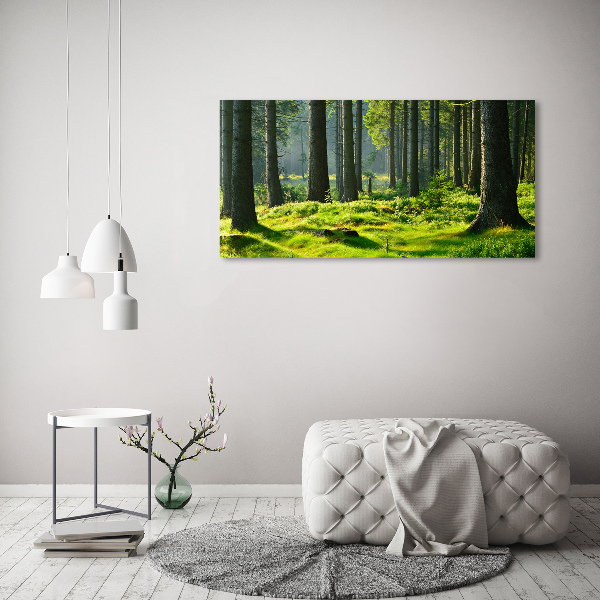 Canvas wall art Spruce forest