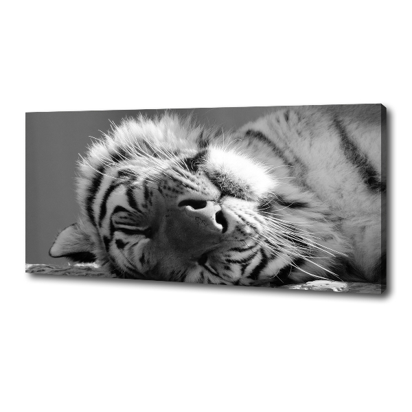 Canvas wall art Sleepy Tiger