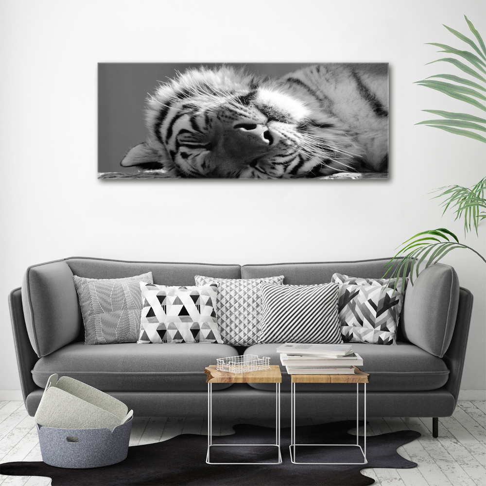 Canvas wall art Sleepy Tiger