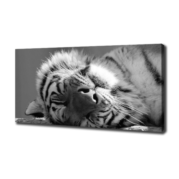 Canvas wall art Sleepy Tiger