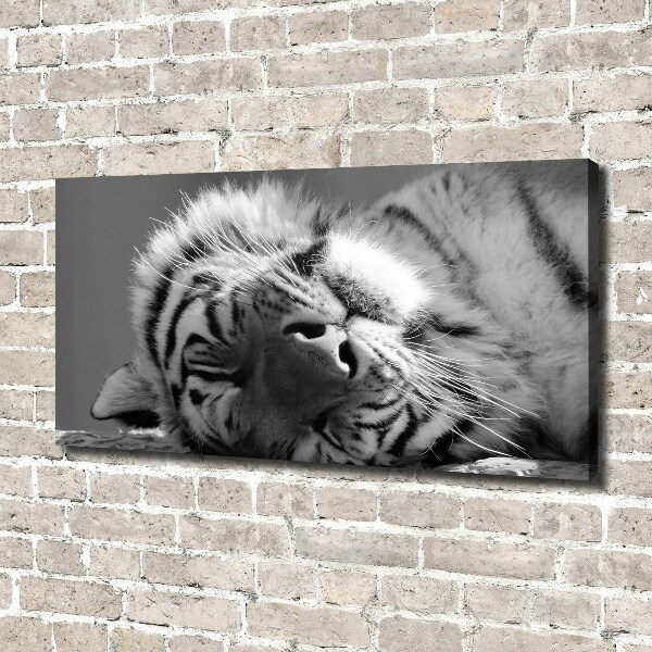 Canvas wall art Sleepy Tiger