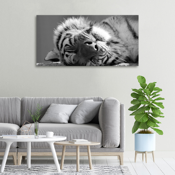 Canvas wall art Sleepy Tiger