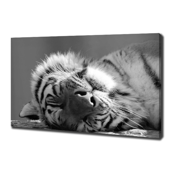 Canvas wall art Sleepy Tiger