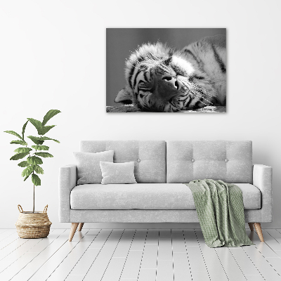 Canvas wall art Sleepy Tiger