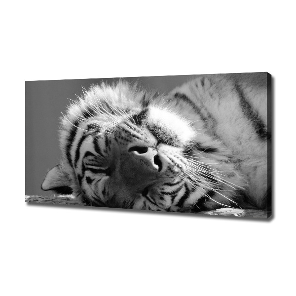 Canvas wall art Sleepy Tiger