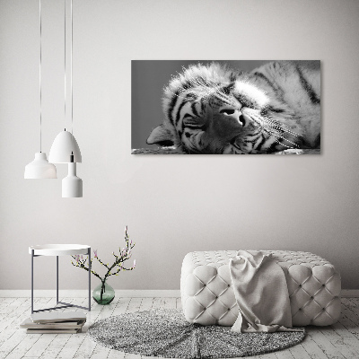 Canvas wall art Sleepy Tiger