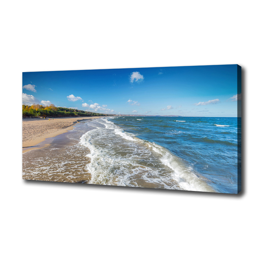 Canvas wall art Baltic Sea