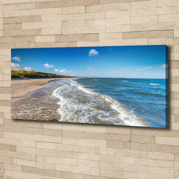 Canvas wall art Baltic Sea