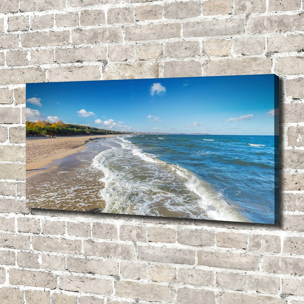 Canvas wall art Baltic Sea