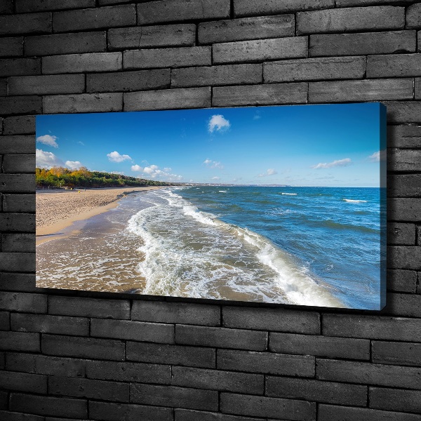 Canvas wall art Baltic Sea